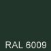 RAL 6009 Farbton